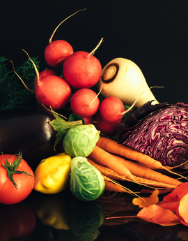 Salud, nutrición y dietética