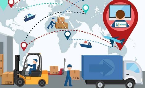 Organización del transporte y la distribución