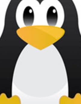 Sistema operativo GNU_Linux: Ubuntu