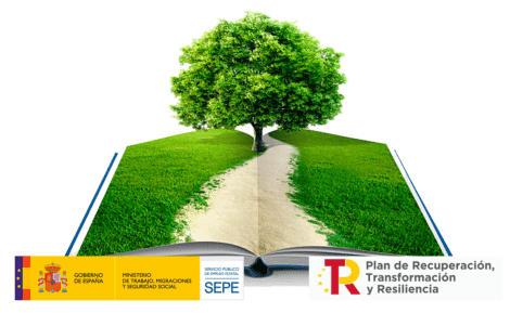 El álbum ilustrado, herramienta clave para la educación emocional y social