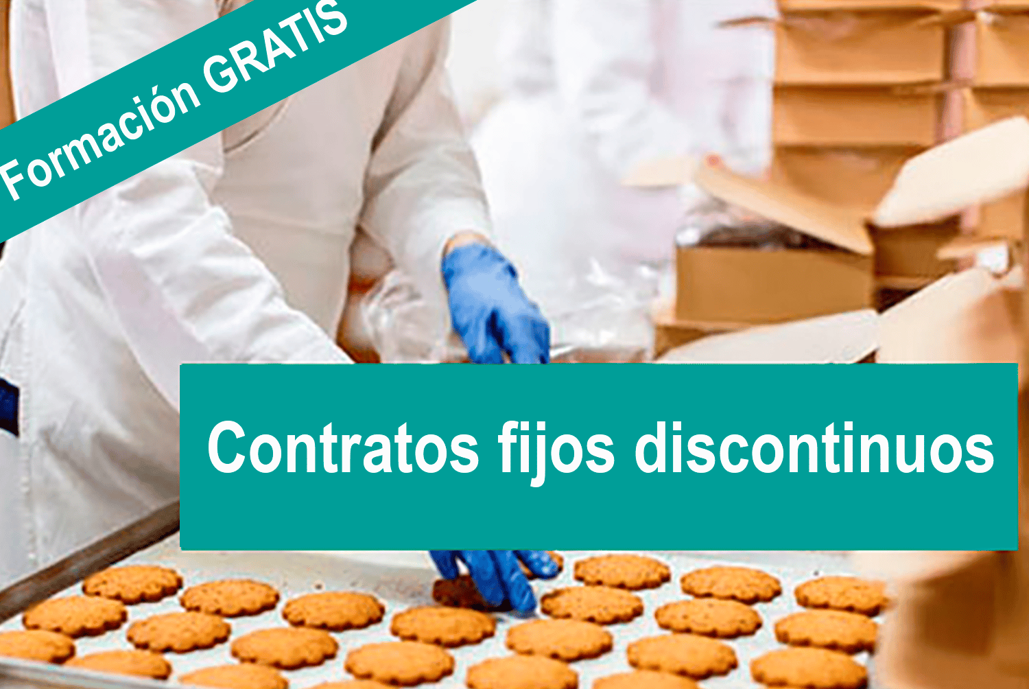 Puedo acceder a los cursos gratis si soy fijo discontinuo ¿Puedo acceder a los cursos gratis si soy "fijo discontinuo"?