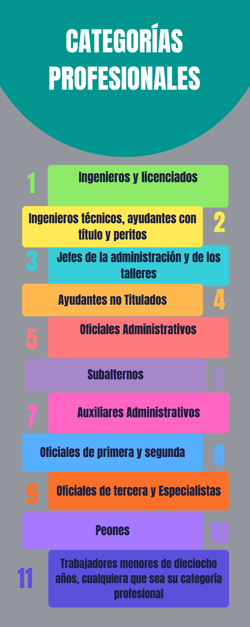 Categoría profesional