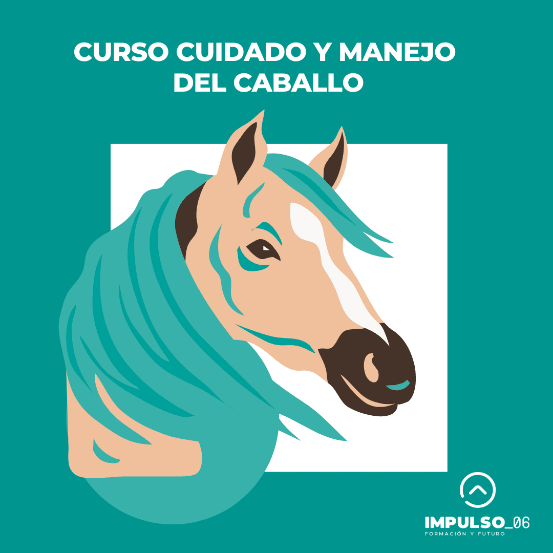 Curso GRATIS Cuidador del Caballo