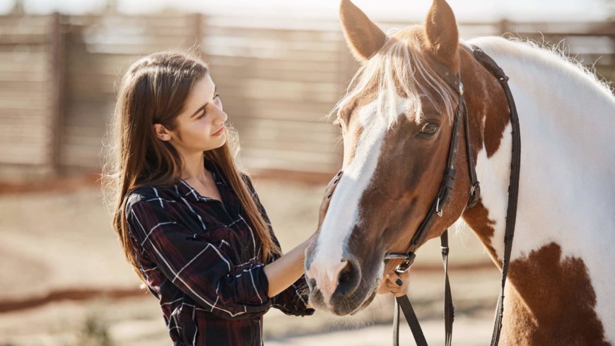 ¿Qué estudiar para trabajar con Caballos? 10 opciones