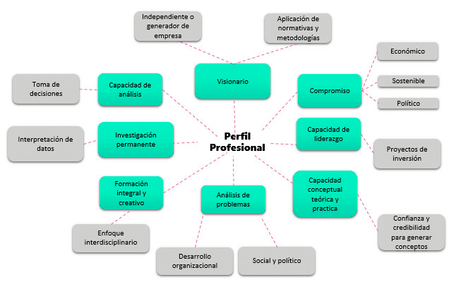 Perfil profesional