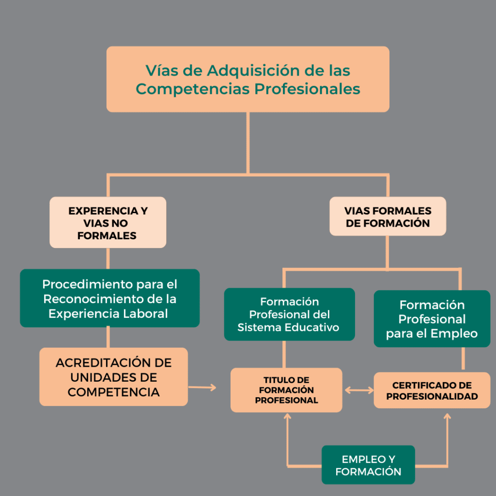 VIAS DE FORMACIÓN