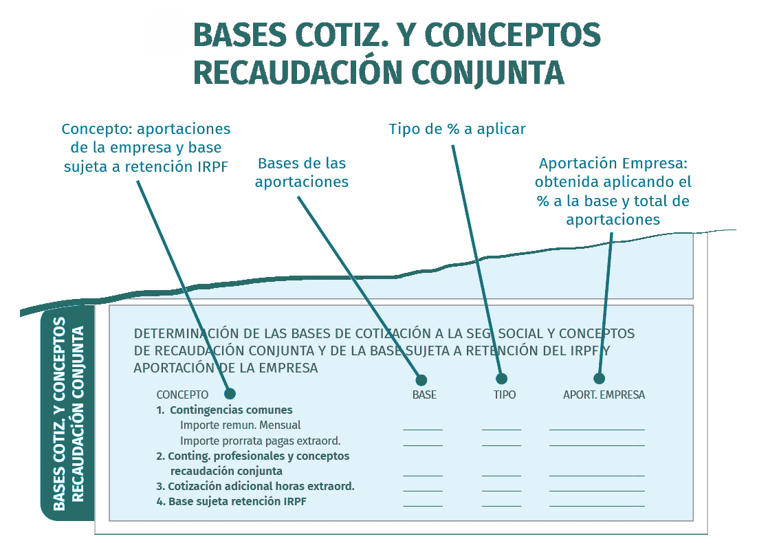 Bases de cotización y conceptos de recaudación conjunta de la nómina