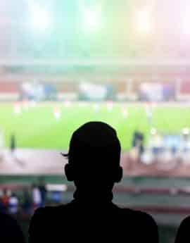 F.E.V.S. SERVICIO DE VIGILANCIA EN EVENTOS DEPORTIVOS Y ESPECTÁCULOS PÚBLICOS