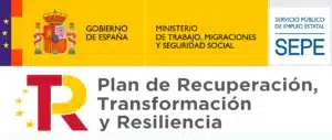 sepe-transformacion-1-300x127