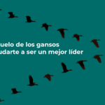 Cómo el vuelo de los gansos puede ayudarte a ser un mejor líder