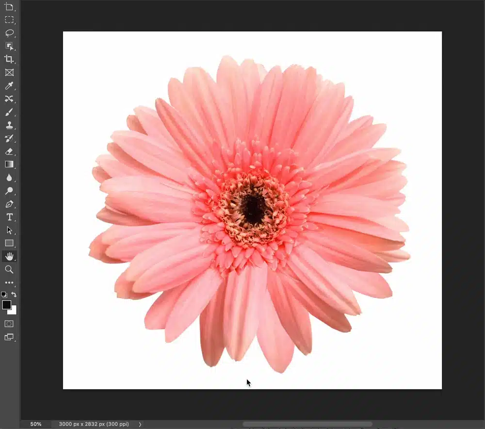 barra contextual  de Photoshop