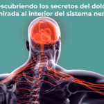 Descubriendo los secretos del dolor una mirada al interior del sistema nervioso