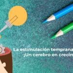 La estimulación temprana en el aula Un cerebro en crecimiento