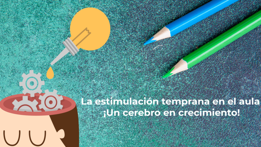 La estimulación temprana en el aula: ¡Un cerebro en crecimiento!