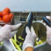 Manipulación de alimentos y seguridad alimentaria