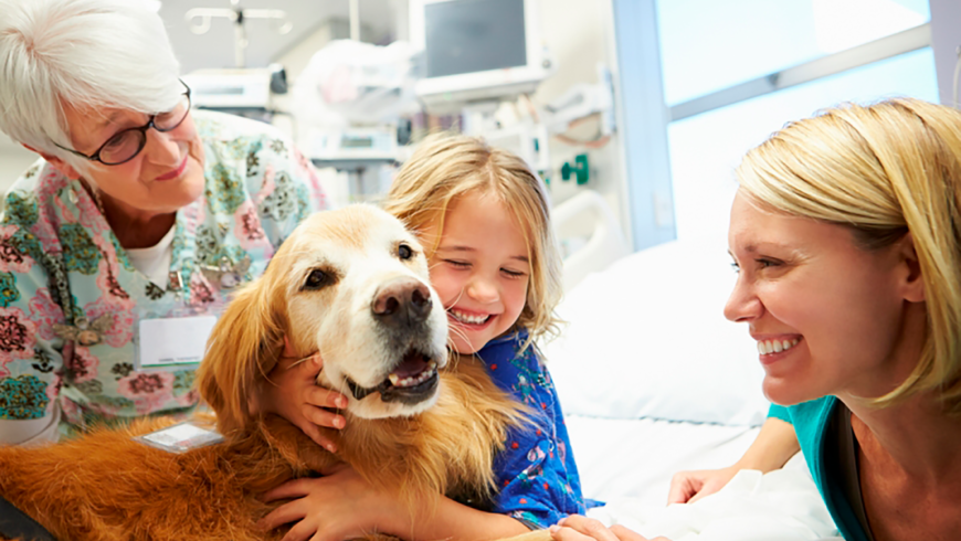 Perroterapia: Los peludos héroes que transforman vidas de niños