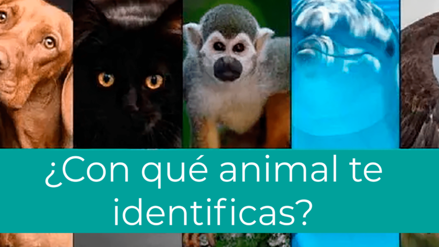 ¿Con qué animal te identificas? Como contestar en una entrevista de trabajo