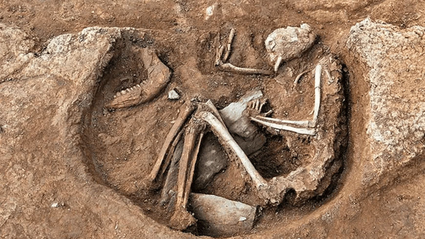 Descubrimientos arqueológicos desafían la posición de la mujer en las sociedades prehistóricas