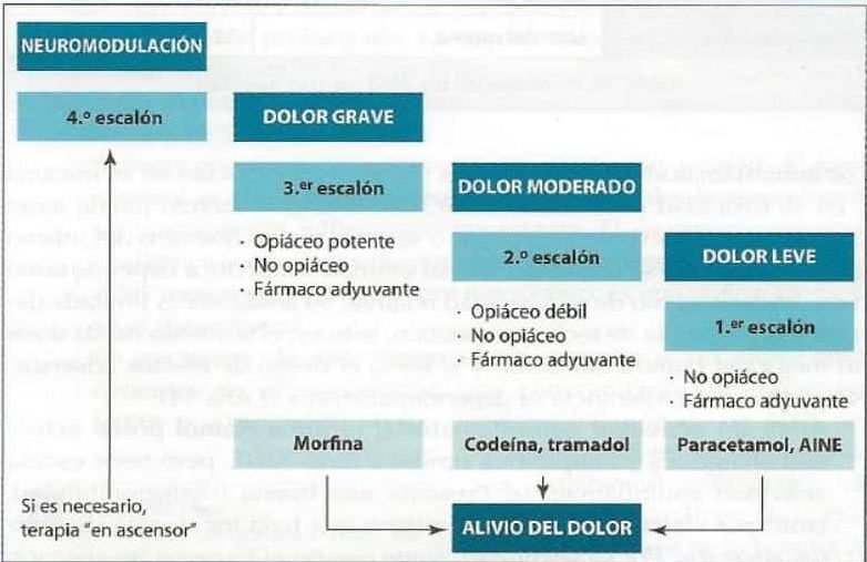 Escala analgésica OMS