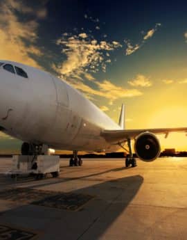 F.E.V.S.: Vigilancia en aeropuertos