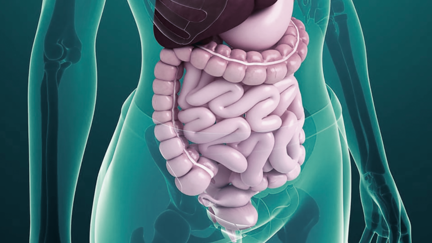 Desentrañando la Anatomía y Fisiopatología Digestiva y Endocrina