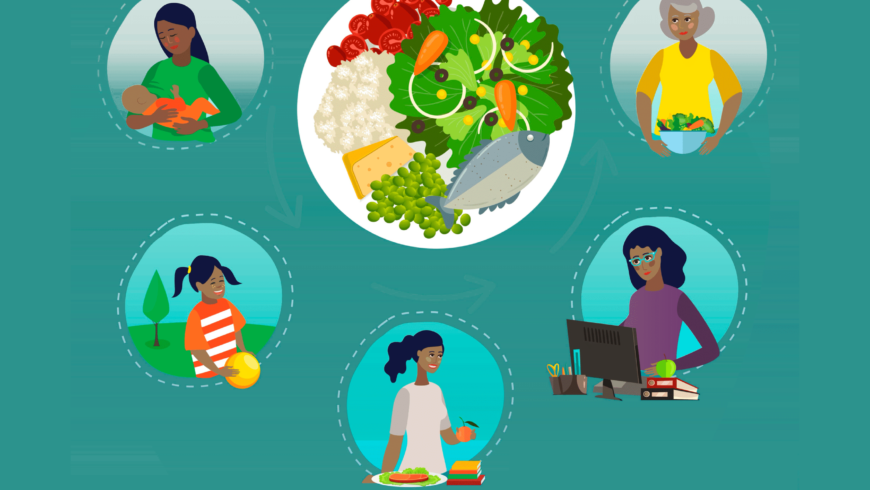 Dietas en las diferentes etapas de la vida. La alimentación en cada fase