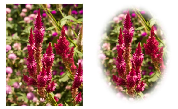 Ejemplo 2 Uso Creativo del Vignette Los mejores trucos para mejorar tus fotos usando retoque fotográfico