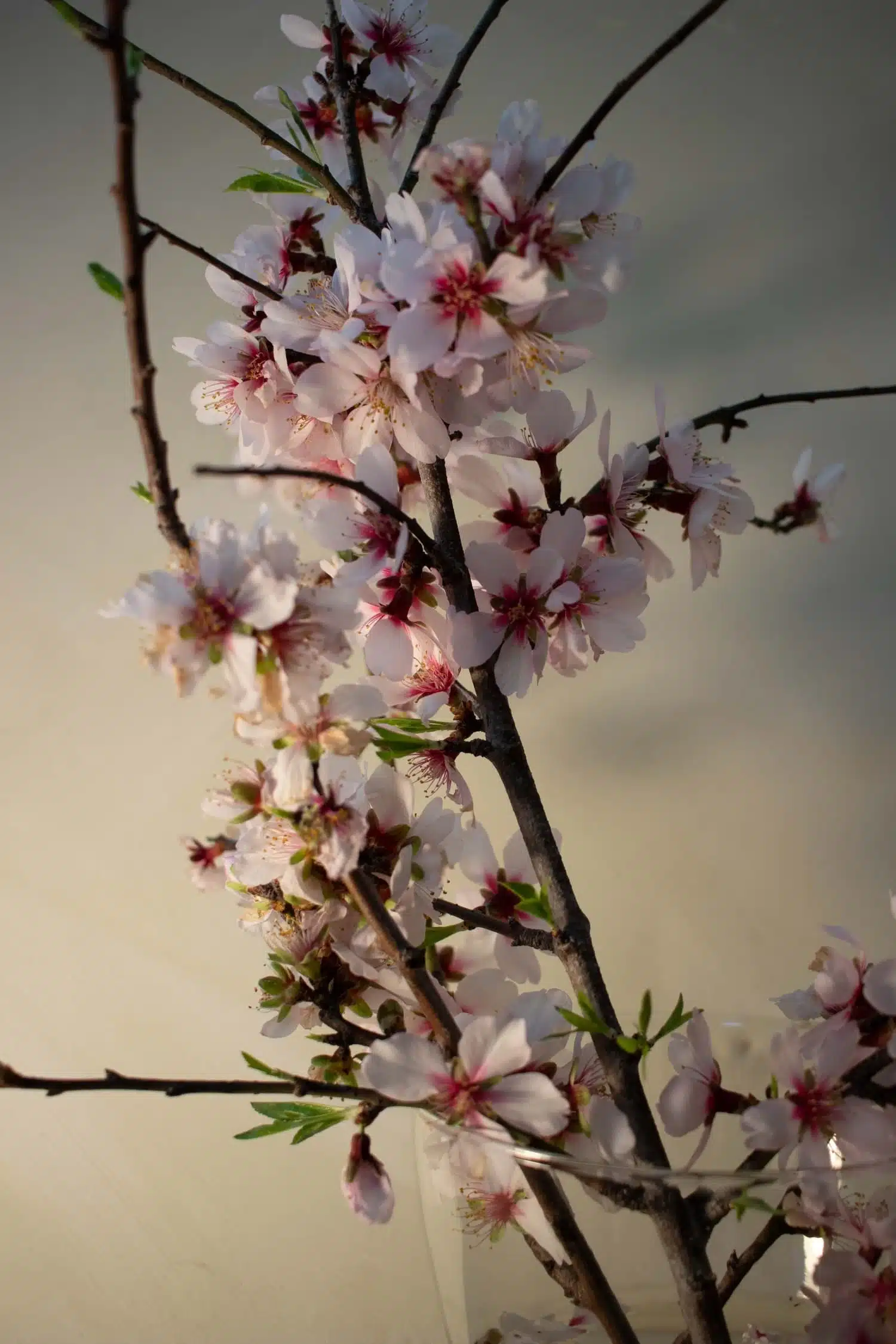 Ejemplo 2 balance blancos Los mejores trucos para mejorar tus fotos usando retoque fotográfico
