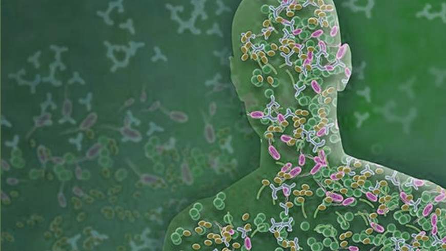 Los secretos del microbioma humano