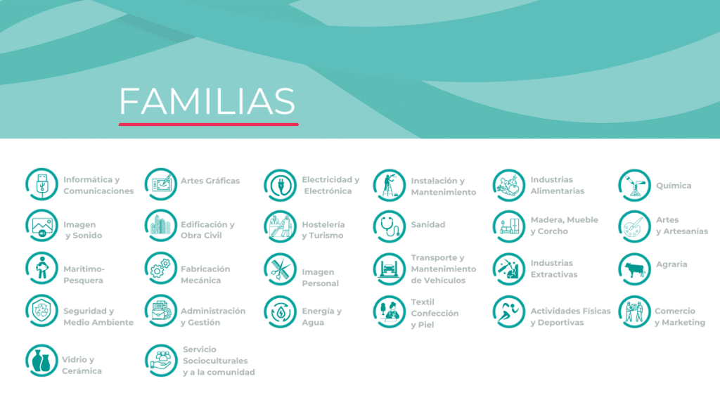 26 familias formativas certificados de profesionalidad sepe