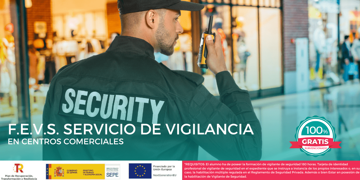 FEVS SERVICIO DE VIGILANCIA EN CENTROS COMERCIALES