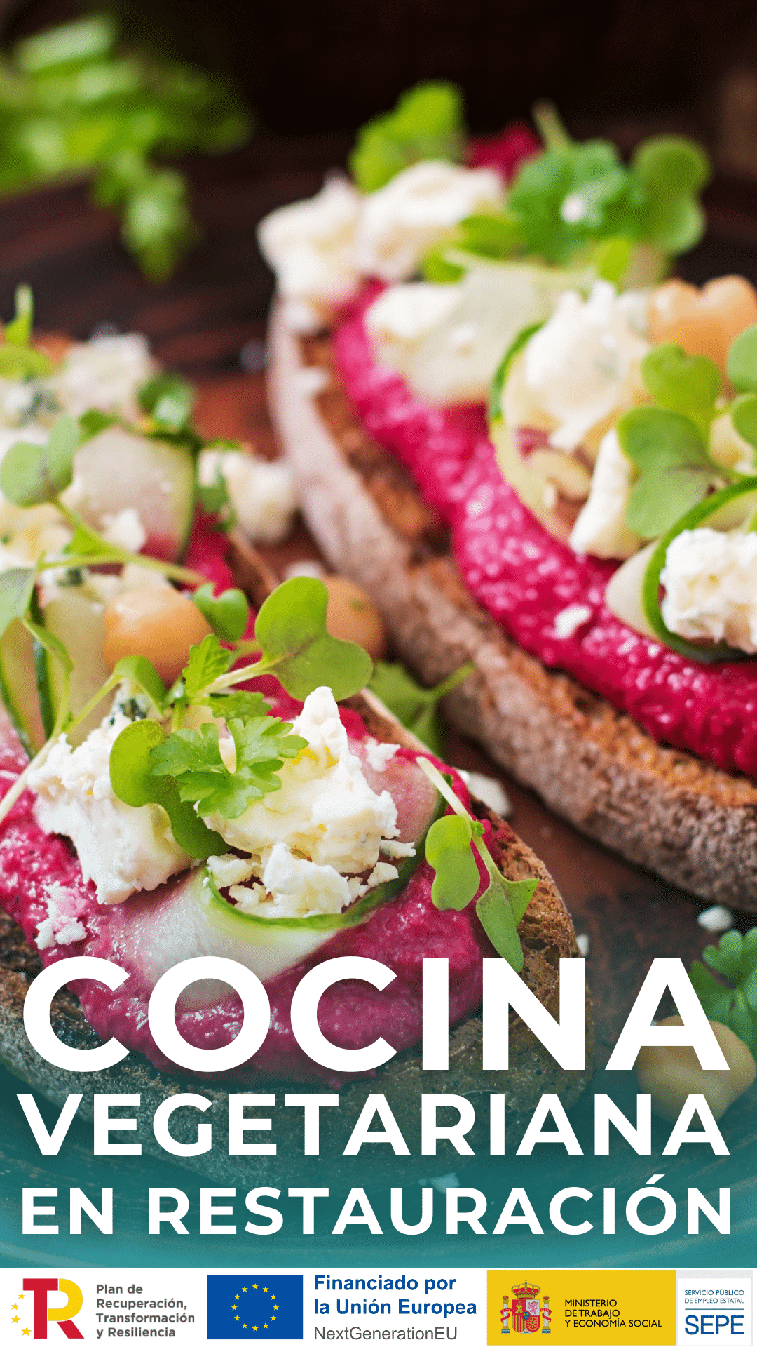 COCINA VEGETARIANA EN RESTAURACIÓN