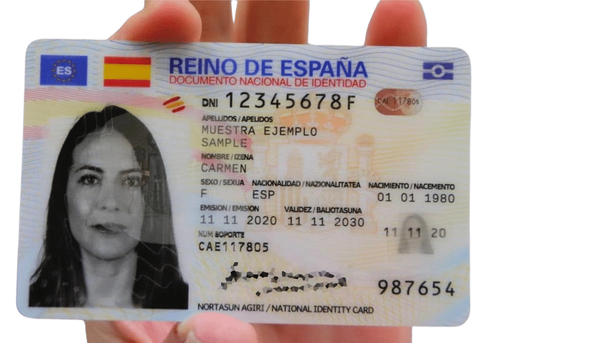 dni firma pixelizada