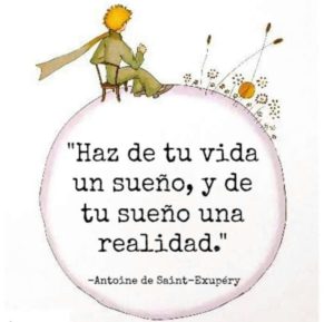 Haz de tu vida un sueño y de tu sueño una realidad. El Principito