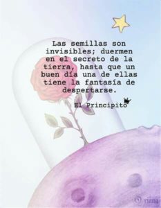 “Las semillas son invisibles. Duermen en el secreto de la tierra hasta que a una de ellas se le ocurre despertarse.” El Principito