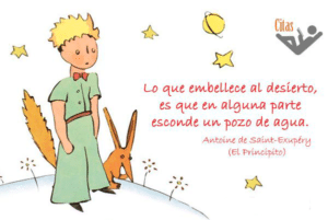 “Lo que embellece el desierto es que en algún lugar esconde un pozo.” El Principito