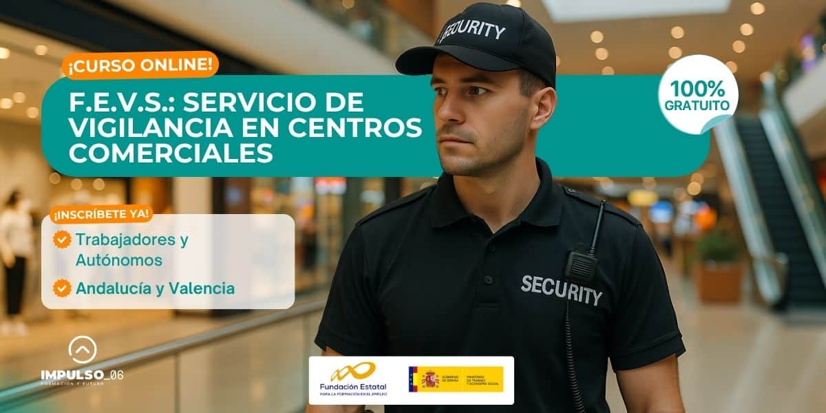 F.E.V.S. SERVICIO DE VIGILANCIA EN CENTROS COMERCIALES