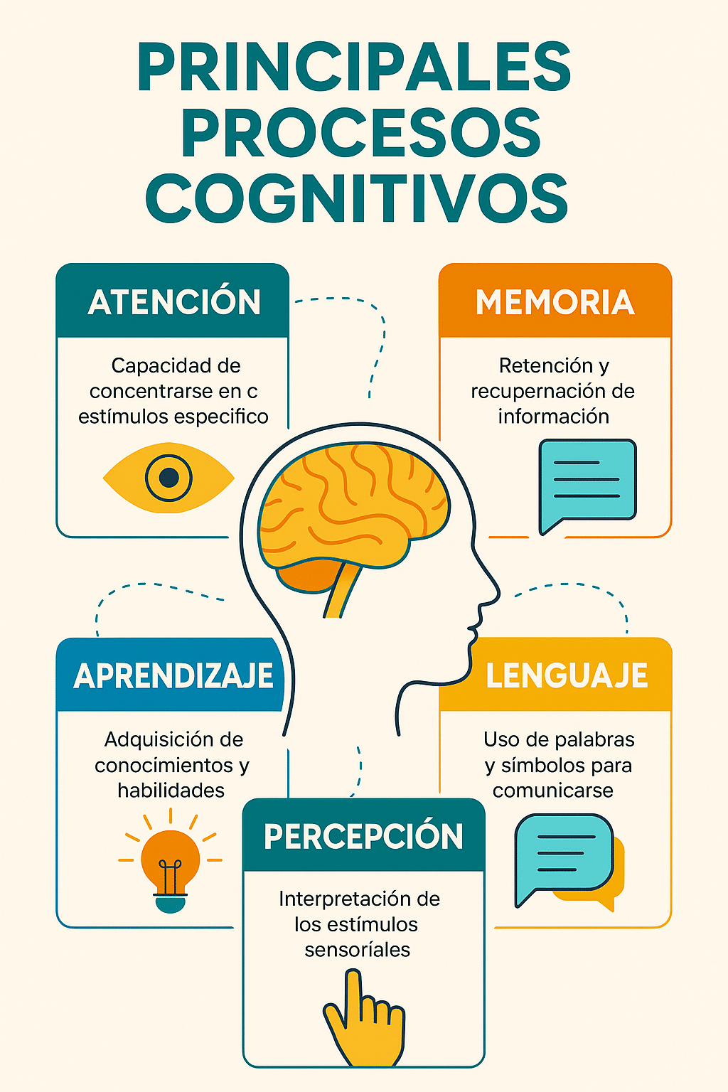 Infografía: procesos cognitivos clave (atención, percepción, memoria, lenguaje y aprendizaje)